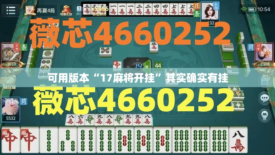 可用版本“17麻将开挂	”其实确实有挂