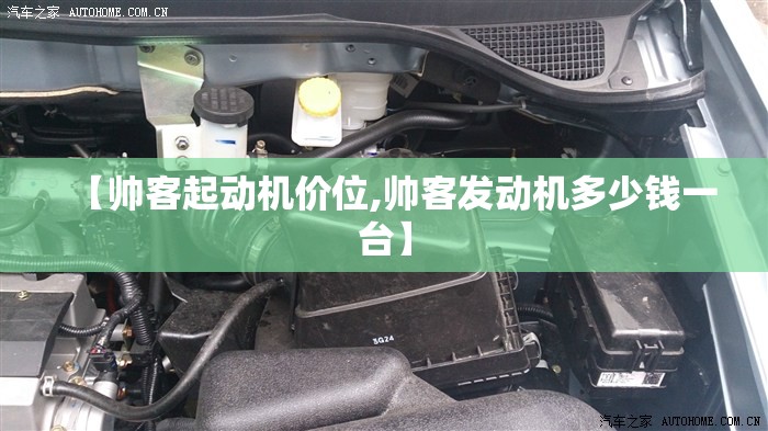 【帅客起动机价位,帅客发动机多少钱一台】 【帅客起动机价位,帅客发动机多少钱一台】