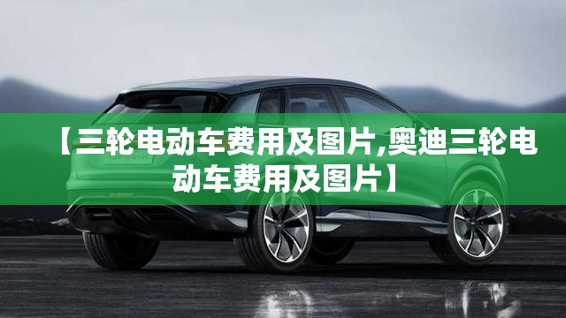 【三轮电动车费用及图片,奥迪三轮电动车费用及图片】 【三轮电动车费用及图片,奥迪三轮电动车费用及图片】