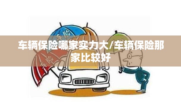 车辆保险哪家实力大/车辆保险那家比较好 车辆保险哪家实力大/车辆保险那家比较好