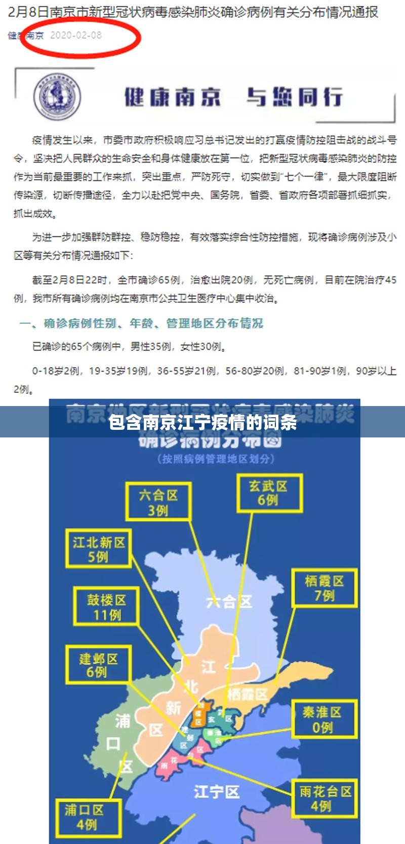 包含南京江宁疫情的词条