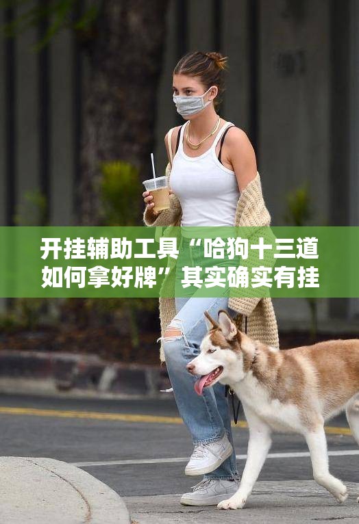 开挂辅助工具“哈狗十三道如何拿好牌”其实确实有挂