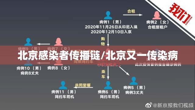 北京感染者传播链/北京又一传染病
