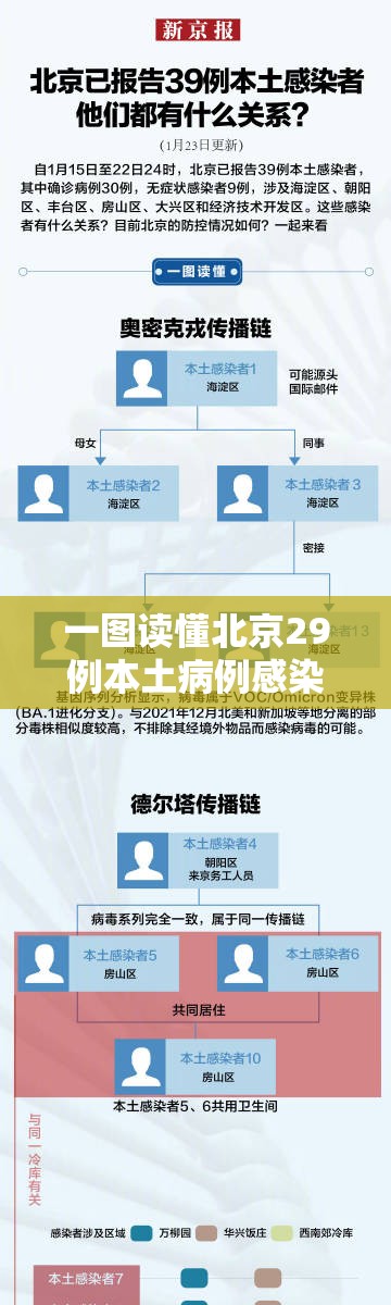 一图读懂北京29例本土病例感染链/北京30例本土感染者关系图