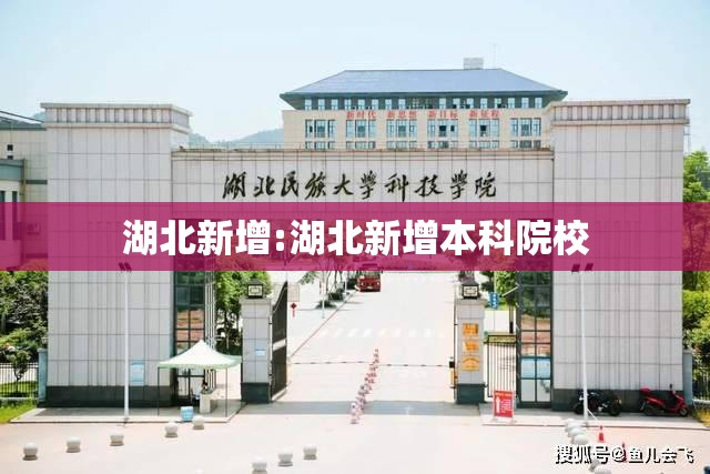 湖北新增:湖北新增本科院校