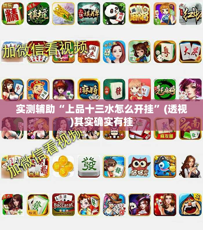 实测辅助“上品十三水怎么开挂”(透视)其实确实有挂
