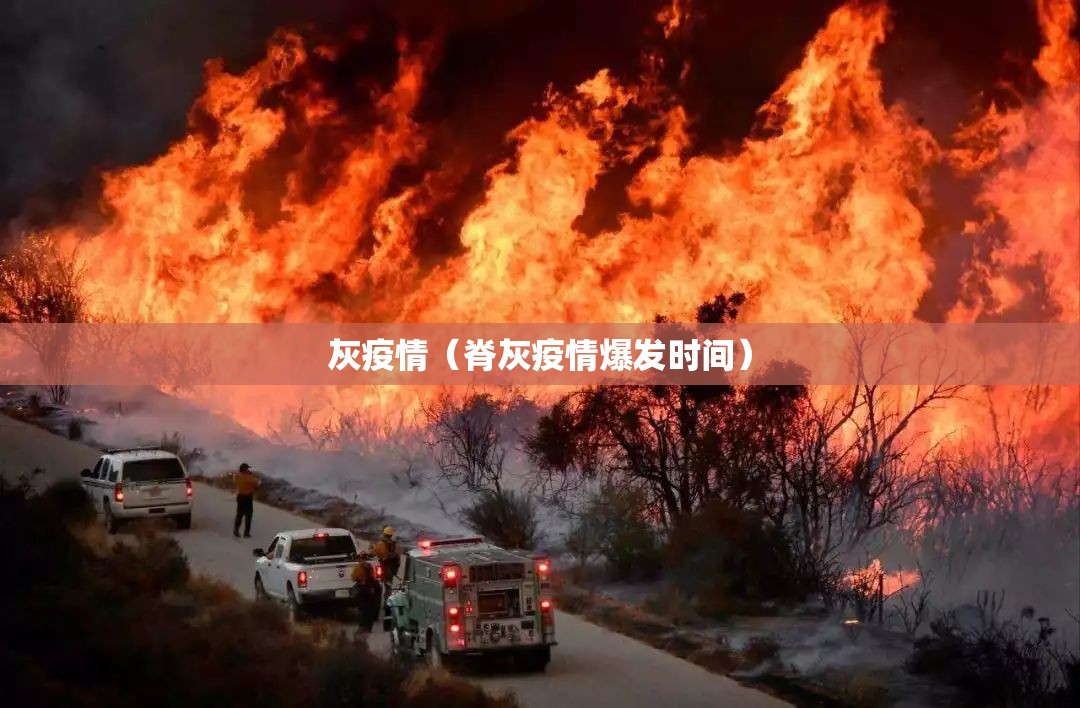 灰疫情（脊灰疫情爆发时间）
