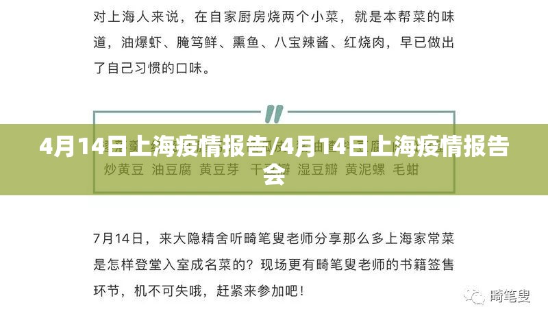 4月14日上海疫情报告/4月14日上海疫情报告会