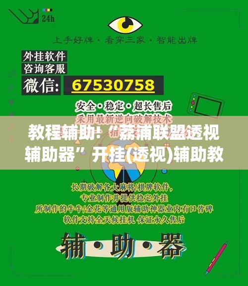 教程辅助!“荔浦联盟透视辅助器”开挂(透视)辅助教程
