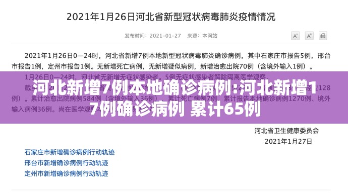 河北新增7例本地确诊病例:河北新增17例确诊病例 累计65例