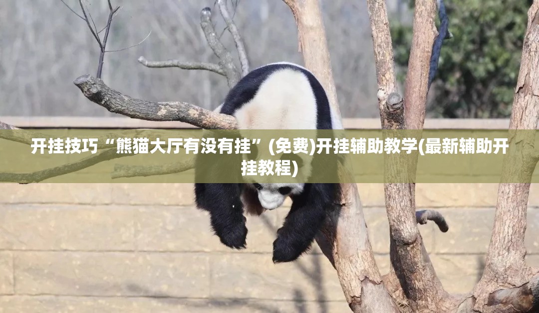 开挂技巧“熊猫大厅有没有挂”(免费)开挂辅助教学(最新辅助开挂教程)