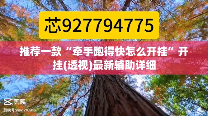 推荐一款“牵手跑得快怎么开挂”开挂(透视)最新辅助详细