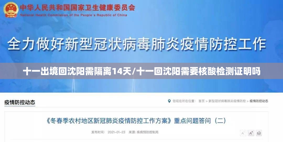 十一出境回沈阳需隔离14天/十一回沈阳需要核酸检测证明吗 十一出境回沈阳需隔离14天/十一回沈阳需要核酸检测证明吗