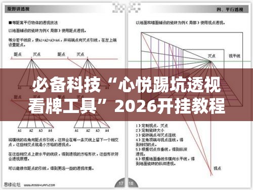 必备科技“心悦踢坑透视看牌工具	”2026开挂教程步骤