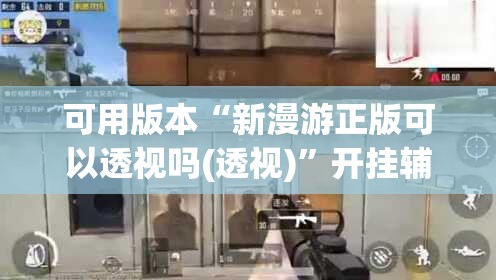 可用版本“新漫游正版可以透视吗(透视)”开挂辅助脚本+详细开挂安装教程