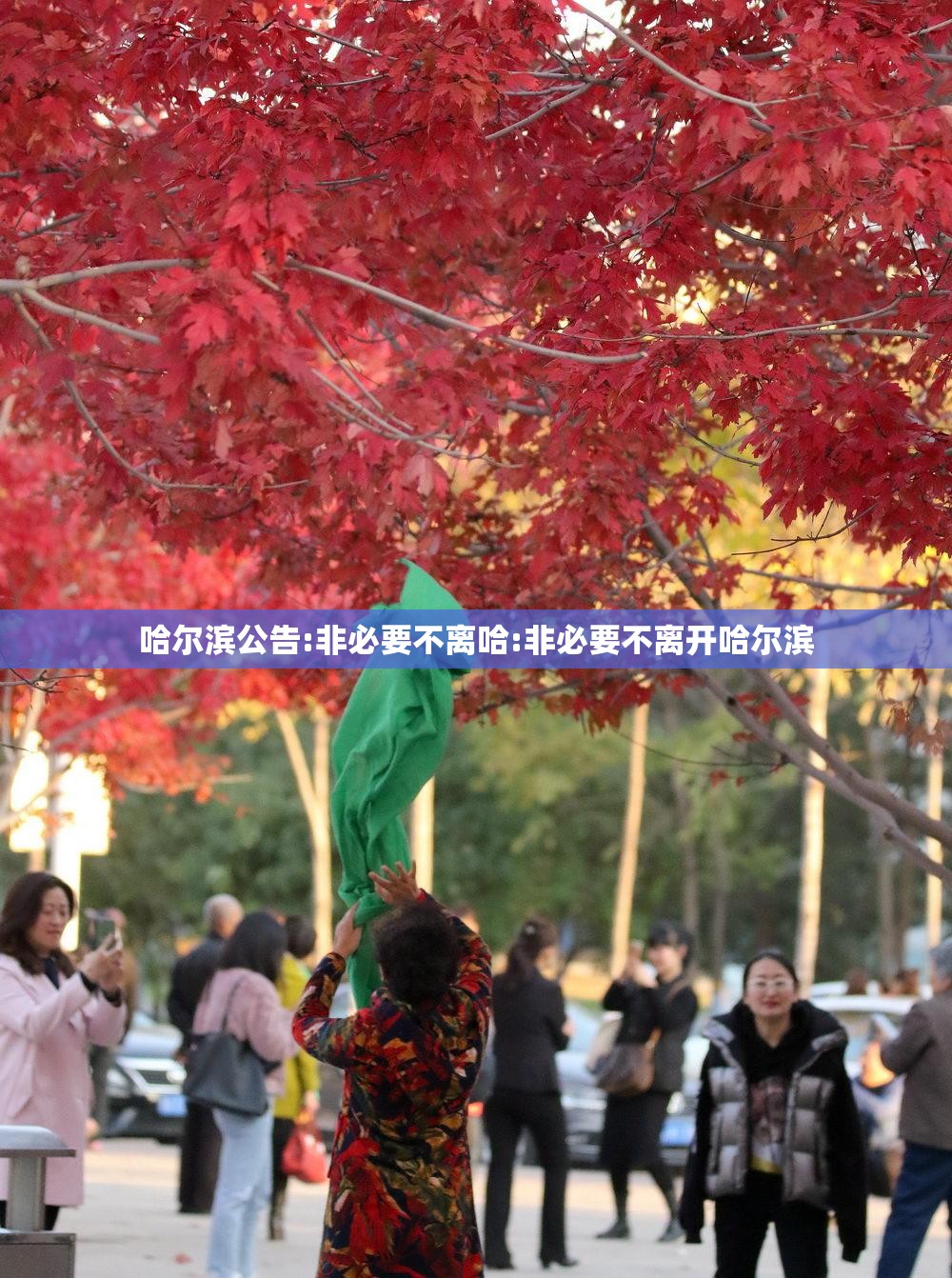 哈尔滨公告:非必要不离哈:非必要不离开哈尔滨 哈尔滨公告:非必要不离哈:非必要不离开哈尔滨