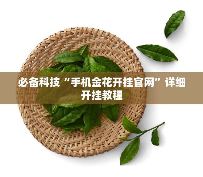 必备科技“手机金花开挂官网”详细开挂教程