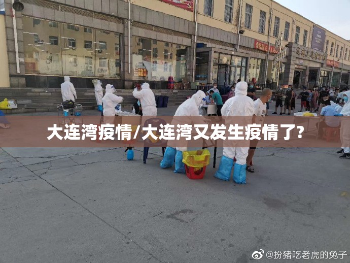 大连湾疫情/大连湾又发生疫情了? 大连湾疫情/大连湾又发生疫情了?