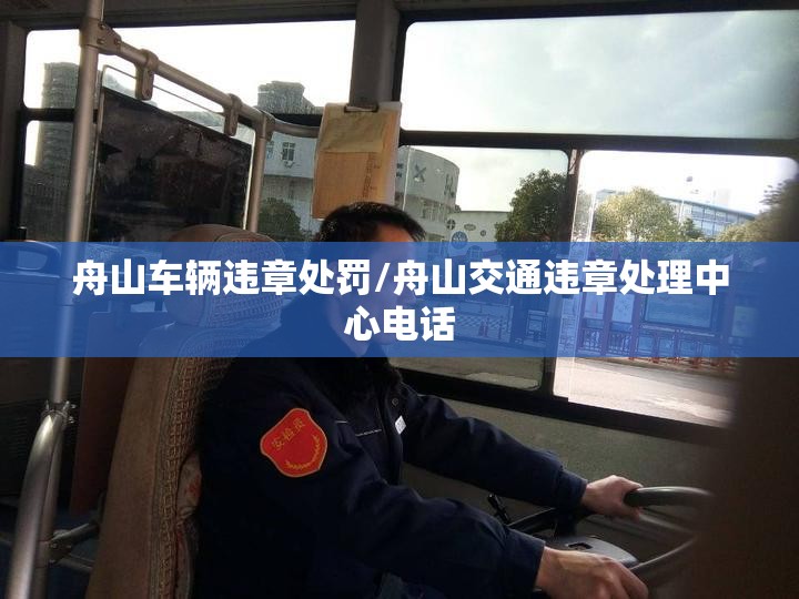 舟山车辆违章处罚/舟山交通违章处理中心电话 舟山车辆违章处罚/舟山交通违章处理中心电话