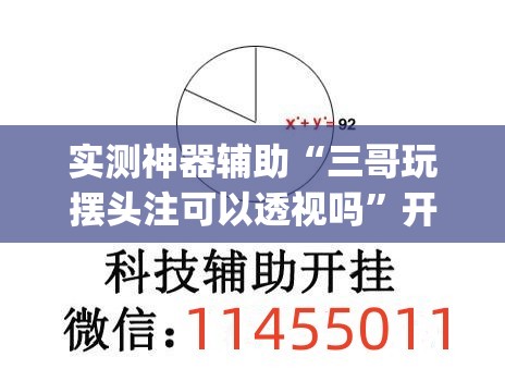 实测神器辅助“三哥玩摆头注可以透视吗”开挂(透视)辅助教程