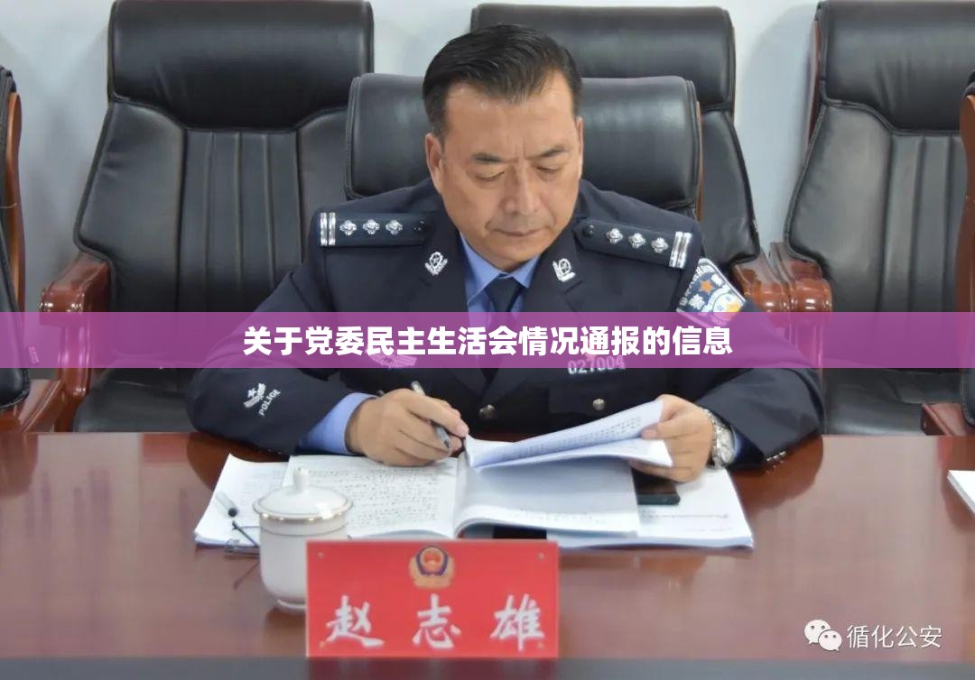 关于党委民主生活会情况通报的信息 关于党委民主生活会情况通报的信息