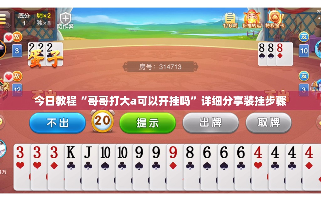今日教程“哥哥打大a可以开挂吗”详细分享装挂步骤