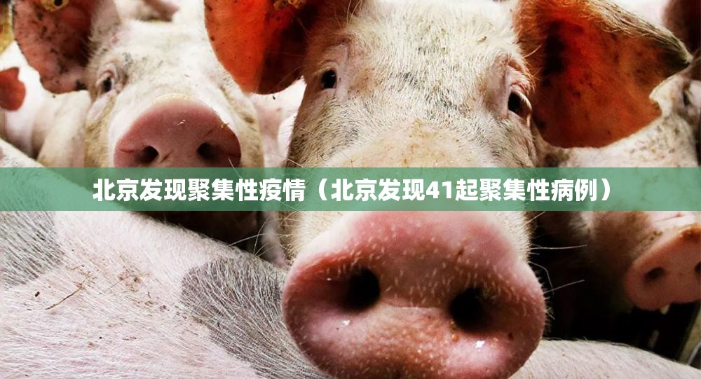北京发现聚集性疫情(北京发现41起聚集性病例) 北京发现聚集性疫情(北京发现41起聚集性病例)