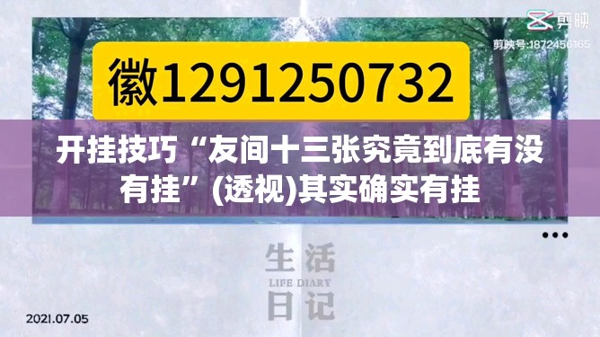 开挂技巧“友间十三张究竟到底有没有挂”(透视)其实确实有挂
