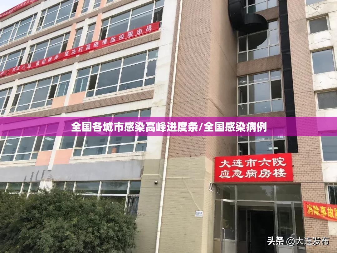 全国各城市感染高峰进度条/全国感染病例