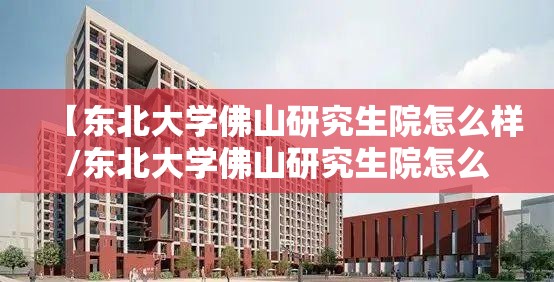 【东北大学佛山研究生院怎么样/东北大学佛山研究生院怎么样啊】