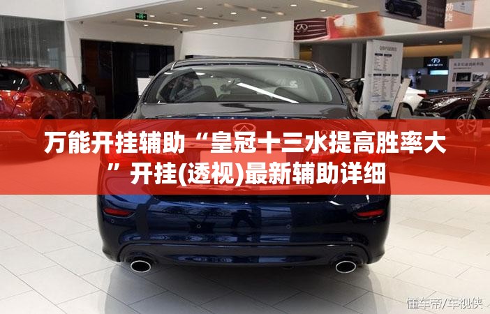 万能开挂辅助“皇冠十三水提高胜率大”开挂(透视)最新辅助详细