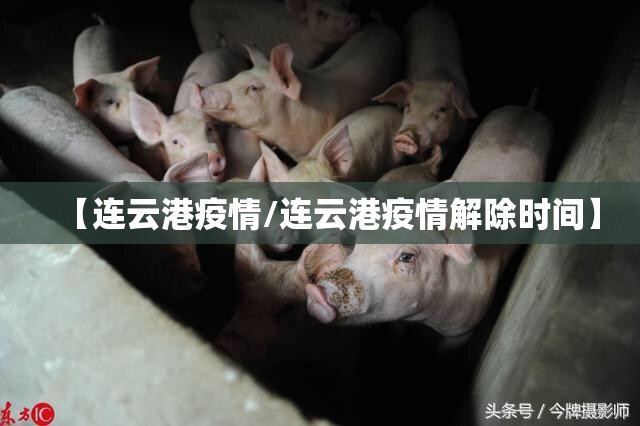 【连云港疫情/连云港疫情解除时间】
