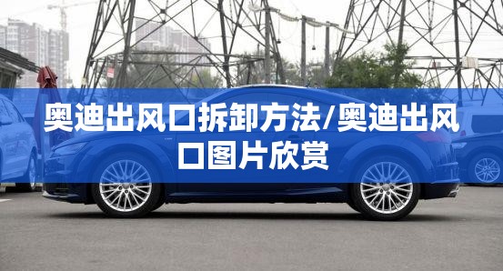 奥迪出风口拆卸方法/奥迪出风口图片欣赏