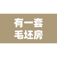 有一套毛坯房（一套毛坯房装修预算）