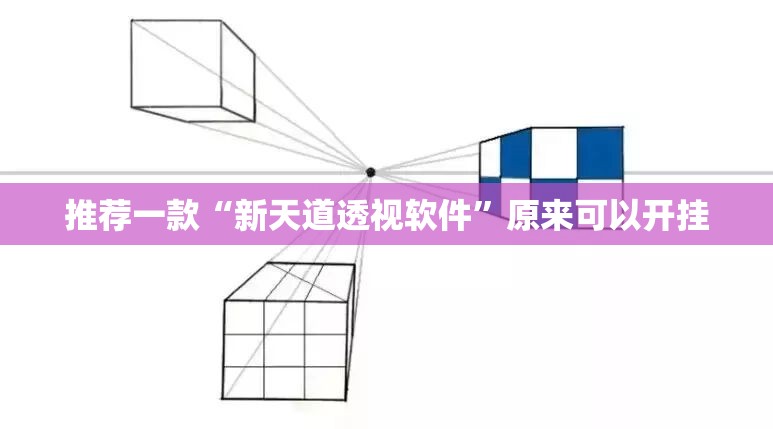 推荐一款“新天道透视软件”原来可以开挂
