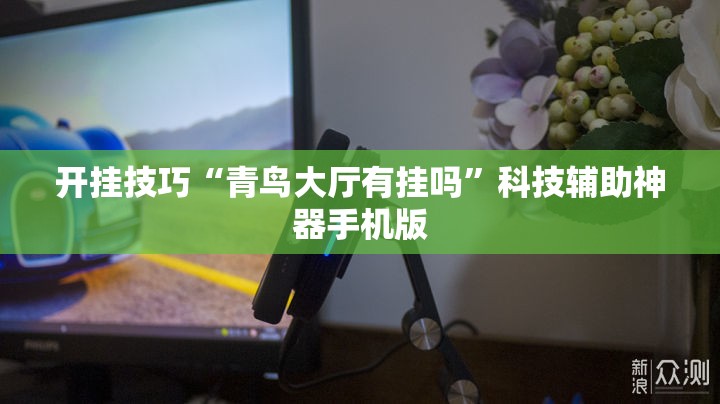 开挂技巧“青鸟大厅有挂吗”科技辅助神器手机版