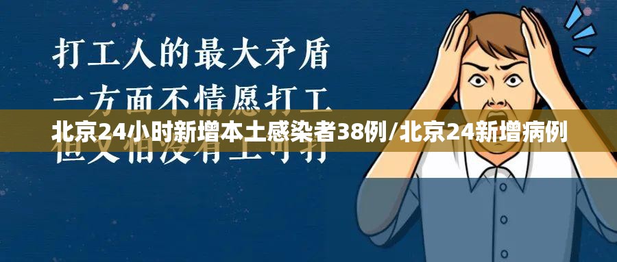 北京24小时新增本土感染者38例/北京24新增病例