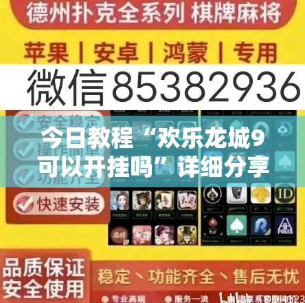 今日教程“欢乐龙城9可以开挂吗	”详细分享装挂步骤