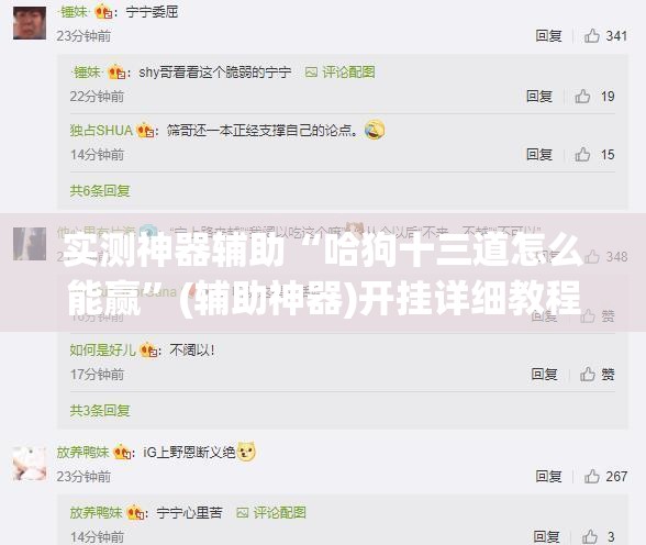 实测神器辅助“哈狗十三道怎么能赢”(辅助神器)开挂详细教程