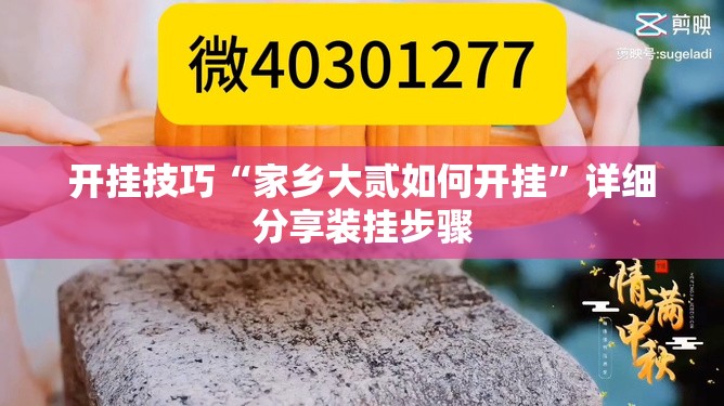 开挂技巧“家乡大贰如何开挂	”详细分享装挂步骤