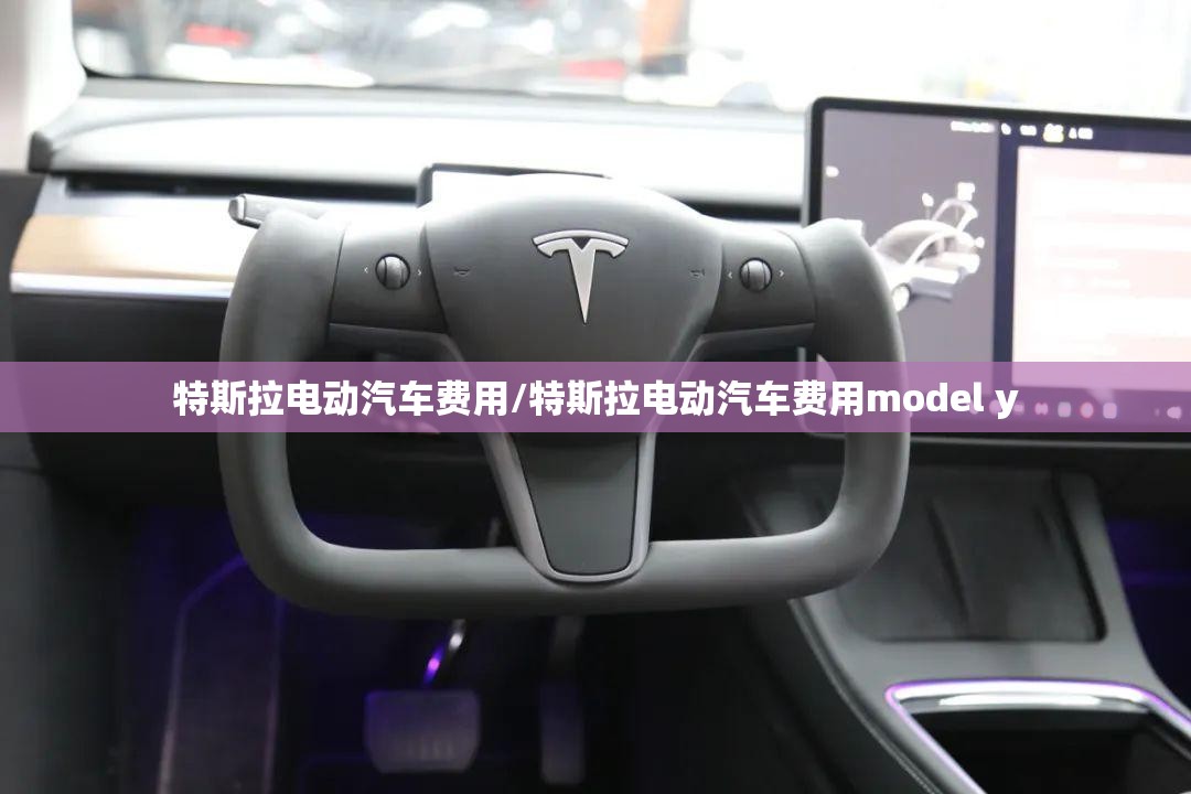 特斯拉电动汽车费用/特斯拉电动汽车费用model y