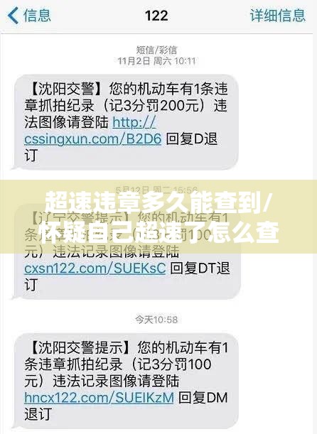 超速违章多久能查到/怀疑自己超速了怎么查 超速违章多久能查到/怀疑自己超速了怎么查