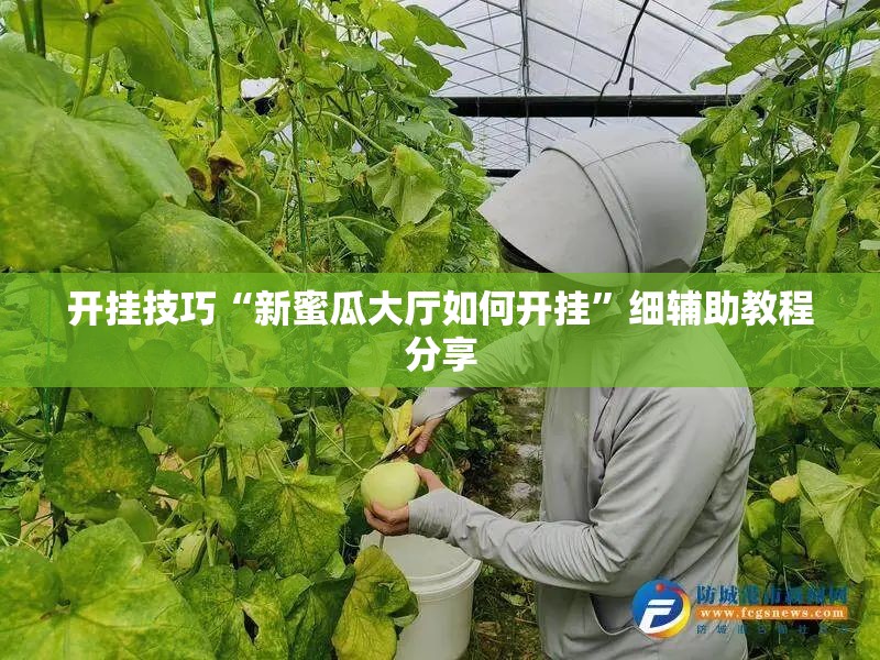 开挂技巧“新蜜瓜大厅如何开挂”细辅助教程分享