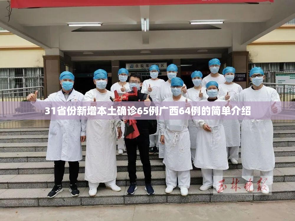 31省份新增本土确诊65例广西64例的简单介绍