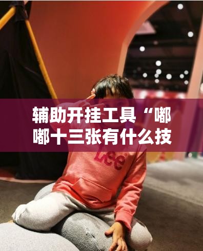 辅助开挂工具“嘟嘟十三张有什么技巧”原来可以开挂