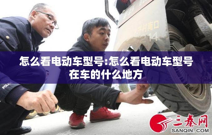 怎么看电动车型号:怎么看电动车型号在车的什么地方 怎么看电动车型号:怎么看电动车型号在车的什么地方