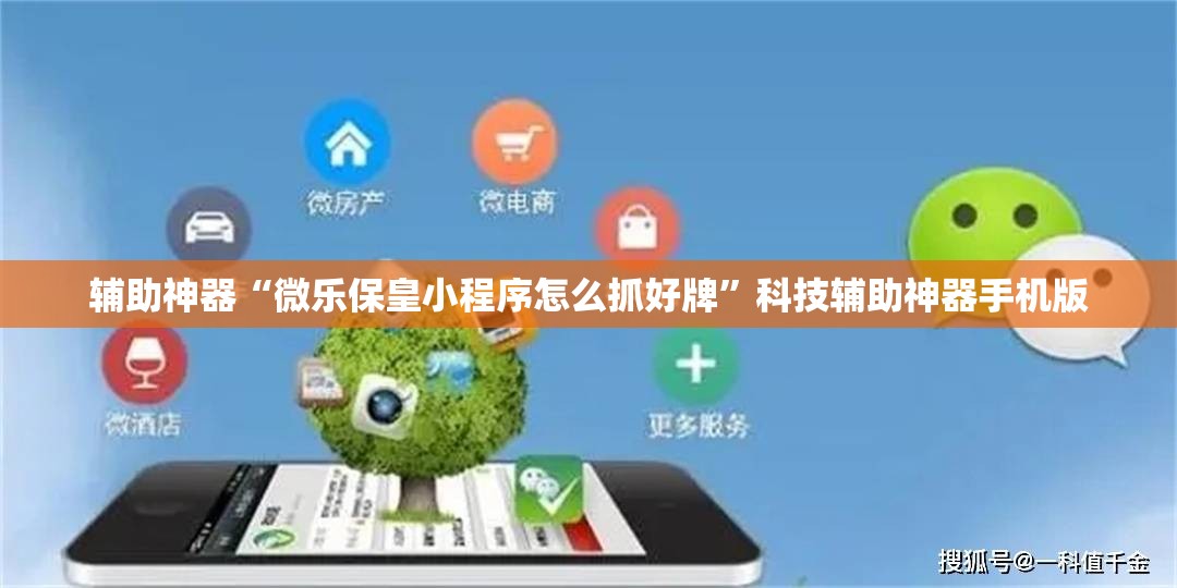 辅助神器“微乐保皇小程序怎么抓好牌”科技辅助神器手机版