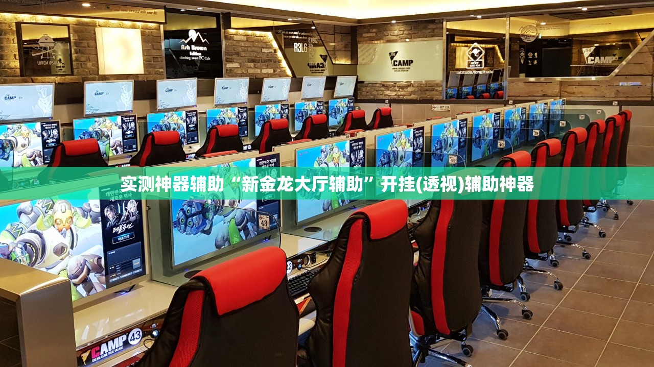 实测神器辅助“新金龙大厅辅助”开挂(透视)辅助神器