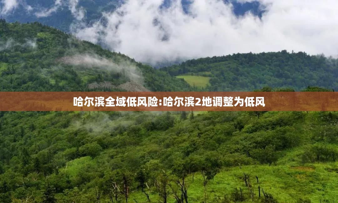 哈尔滨全域低风险:哈尔滨2地调整为低风 哈尔滨全域低风险:哈尔滨2地调整为低风