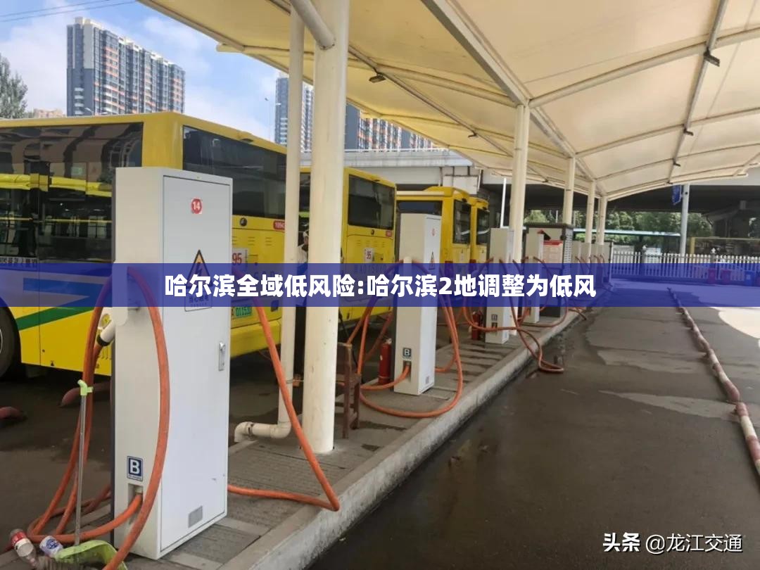 哈尔滨全域低风险:哈尔滨2地调整为低风 哈尔滨全域低风险:哈尔滨2地调整为低风